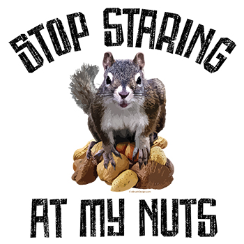 Squirrel - stop staring at my nuts