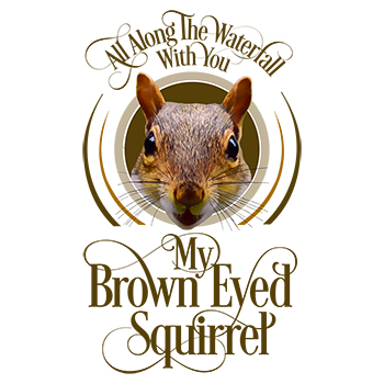 My Brown Eyed Squirrel