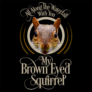 My Brown Eyed Squirrel