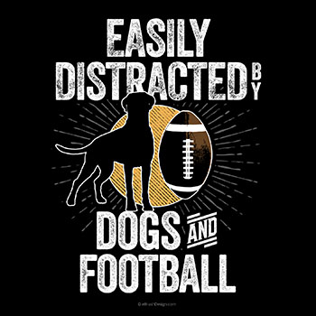 easily distracted by dogs and football