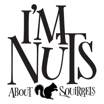 I'm nuts about squirrels