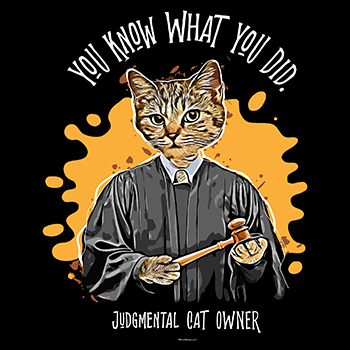 judgemental cat
