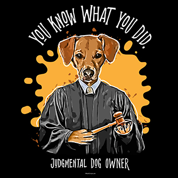 judgemental rescue dog