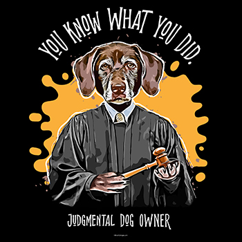 judgemental dog Labrador