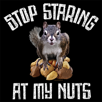 squirrel: stop staring at my nuts