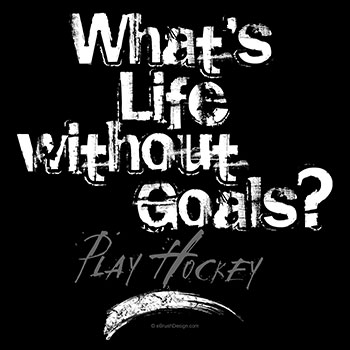 What's Life Without Hockey Goals?